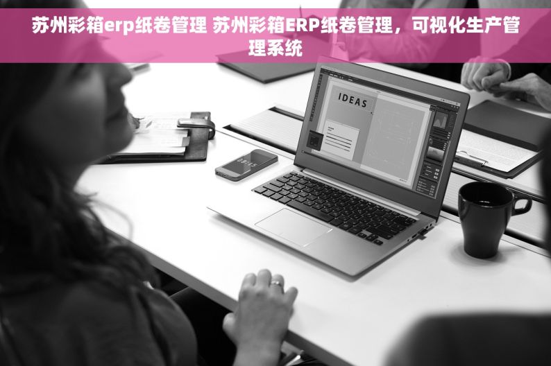 苏州彩箱erp纸卷管理 苏州彩箱ERP纸卷管理，可视化生产管理系统