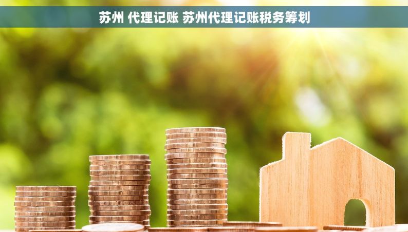 苏州 代理记账 苏州代理记账税务筹划