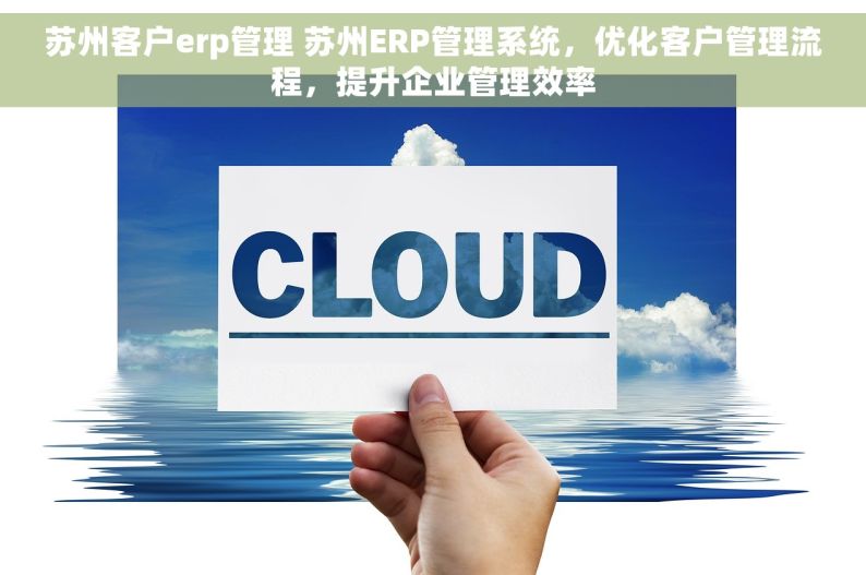 苏州客户erp管理 苏州ERP管理系统，优化客户管理流程，提升企业管理效率
