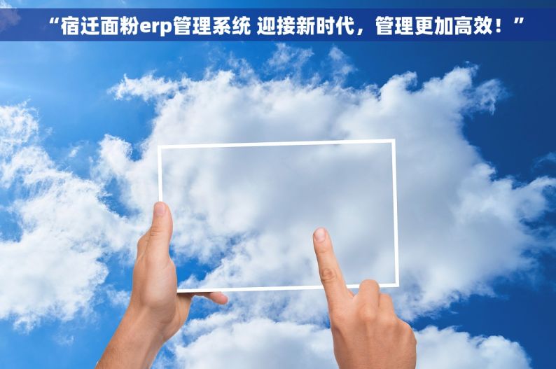 “宿迁面粉erp管理系统 迎接新时代，管理更加高效！”