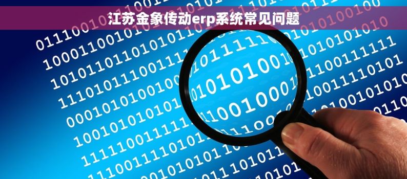 江苏金象传动erp系统常见问题