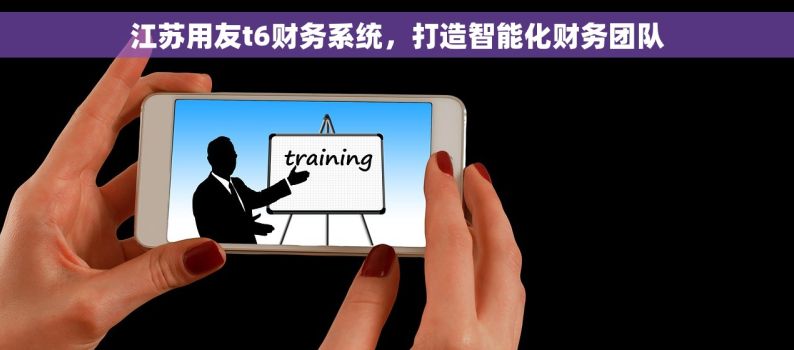 江苏用友t6财务系统，打造智能化财务团队