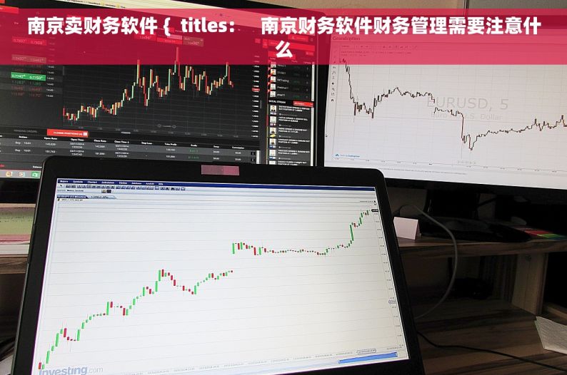 南京卖财务软件 {  titles:     南京财务软件财务管理需要注意什么