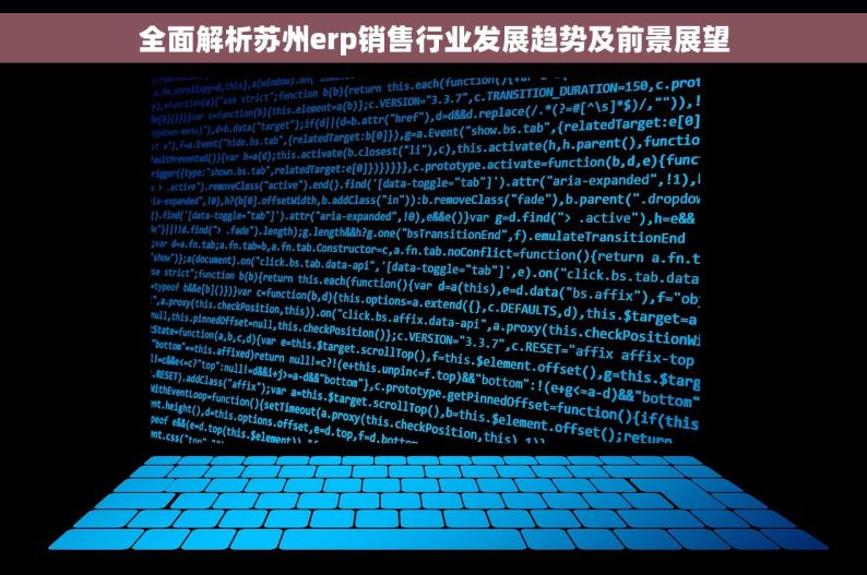 全面解析苏州erp销售行业发展趋势及前景展望