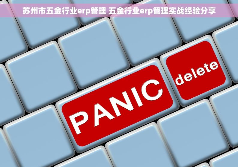 苏州市五金行业erp管理 五金行业erp管理实战经验分享