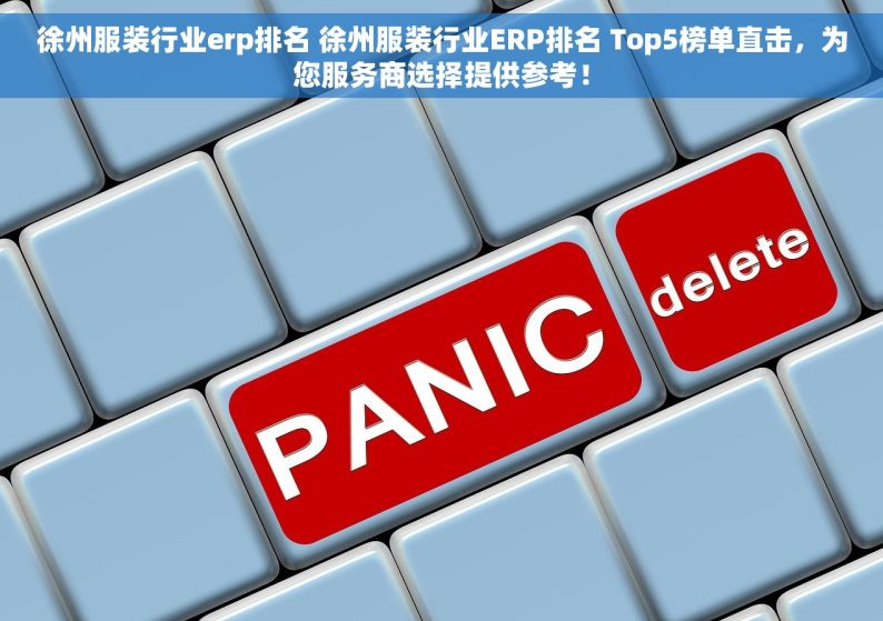 徐州服装行业erp排名 徐州服装行业ERP排名 Top5榜单直击，为您服务商选择提供参考！