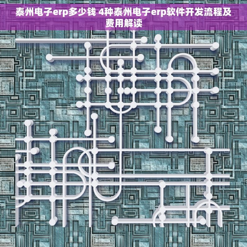 泰州电子erp多少钱 4种泰州电子erp软件开发流程及费用解读