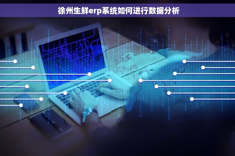  徐州生鲜erp系统如何进行数据分析