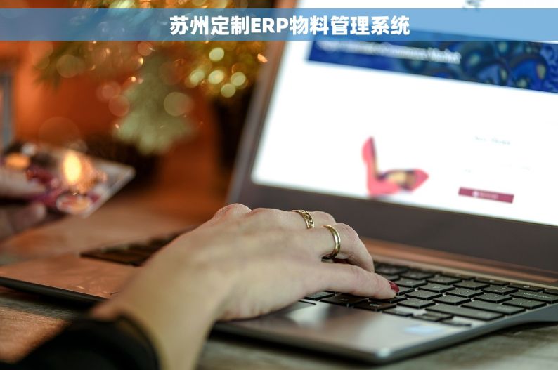     苏州定制ERP物料管理系统