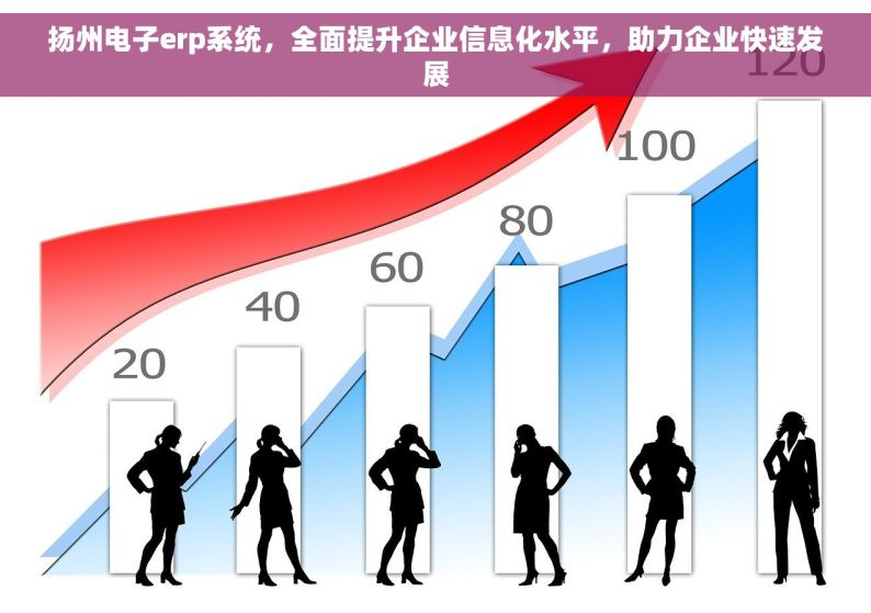 扬州电子erp系统，全面提升企业信息化水平，助力企业快速发展