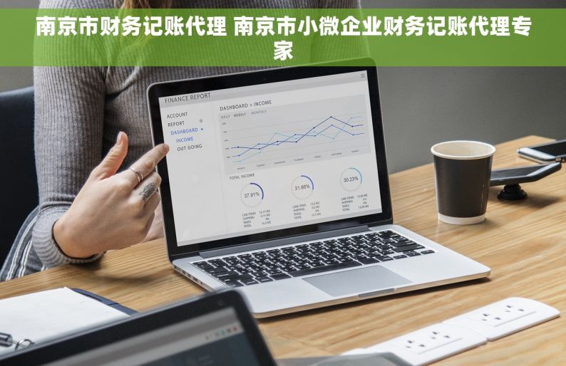 南京市财务记账代理 南京市小微企业财务记账代理专家