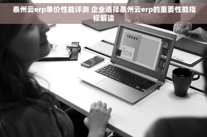  泰州云erp单价性能评测 企业选择泰州云erp的重要性能指标解读