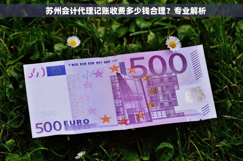     苏州会计代理记账收费多少钱合理？专业解析