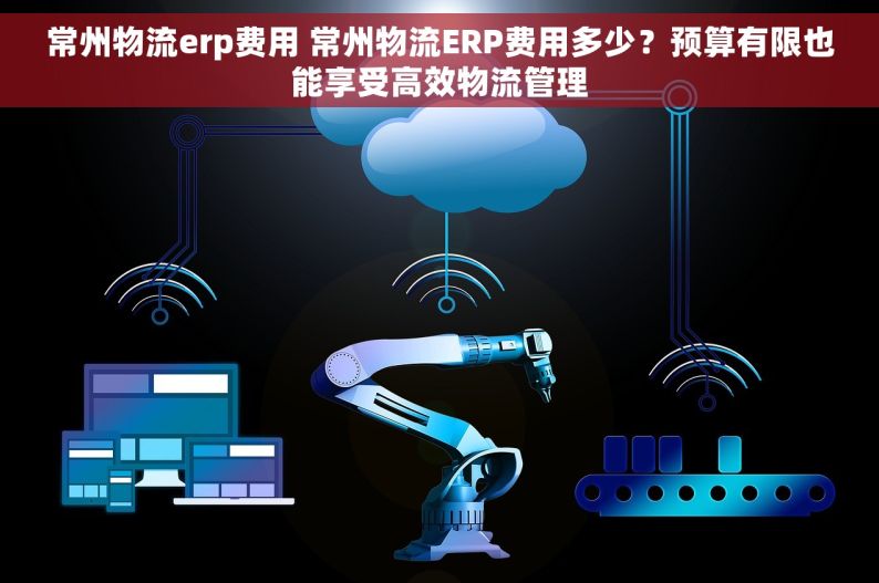 常州物流erp费用 常州物流ERP费用多少？预算有限也能享受高效物流管理