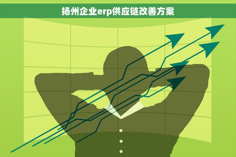 扬州企业erp供应链改善方案