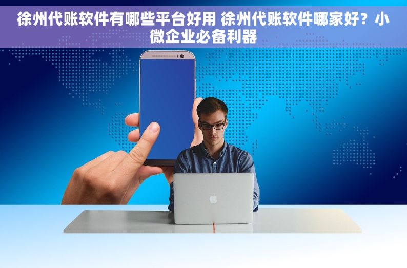徐州代账软件有哪些平台好用 徐州代账软件哪家好？小微企业必备利器