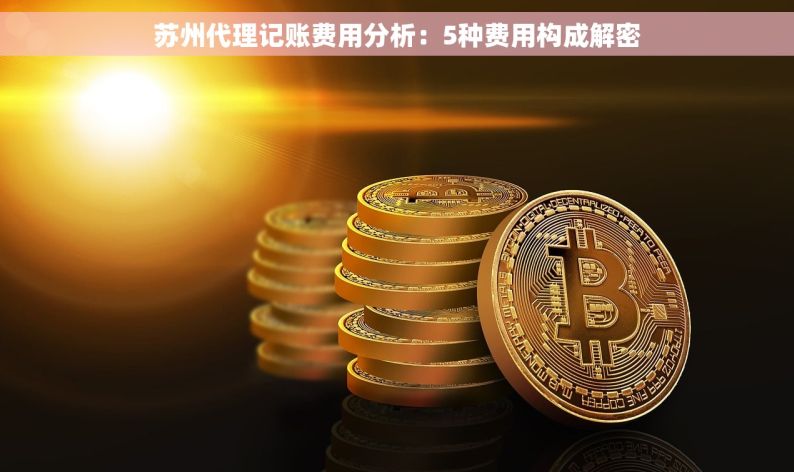 苏州代理记账费用分析：5种费用构成解密
