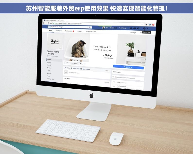 苏州智能服装外贸erp使用效果 快速实现智能化管理！