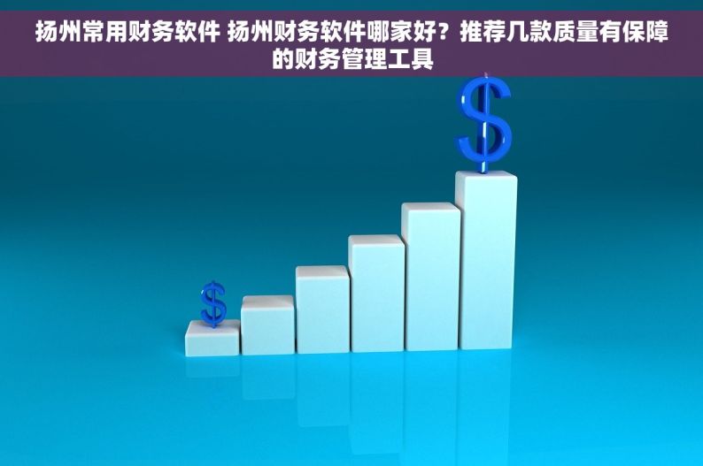扬州常用财务软件 扬州财务软件哪家好？推荐几款质量有保障的财务管理工具