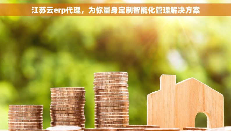 江苏云erp代理，为你量身定制智能化管理解决方案