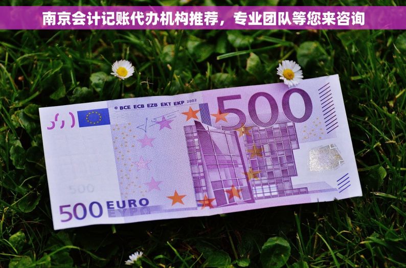 南京会计记账代办机构推荐，专业团队等您来咨询