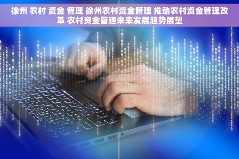 徐州 农村 资金 管理 徐州农村资金管理 推动农村资金管理改革 农村资金管理未来发展趋势展望