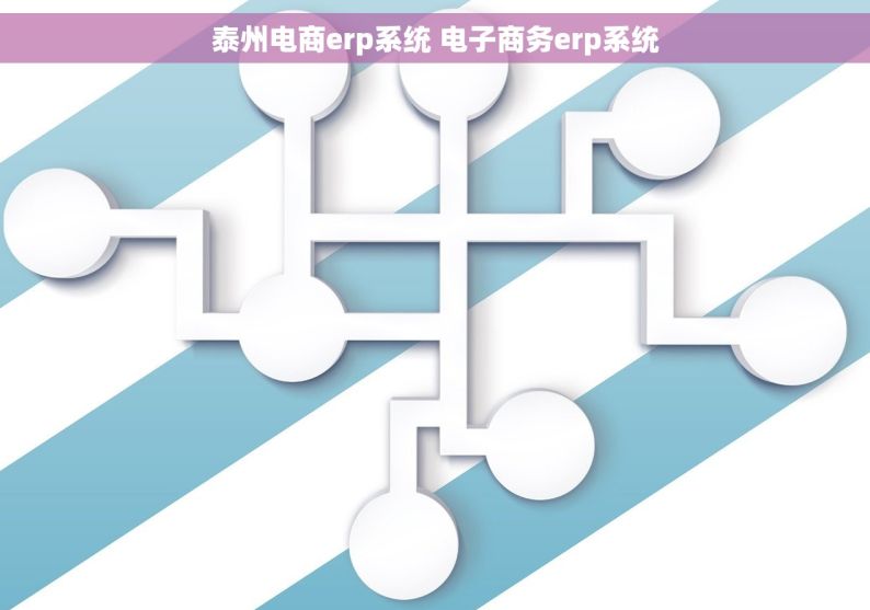 泰州电商erp系统 电子商务erp系统