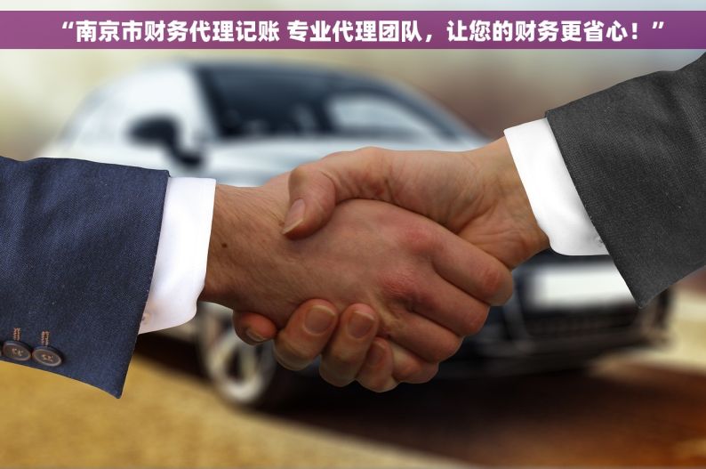 “南京市财务代理记账 专业代理团队，让您的财务更省心！”