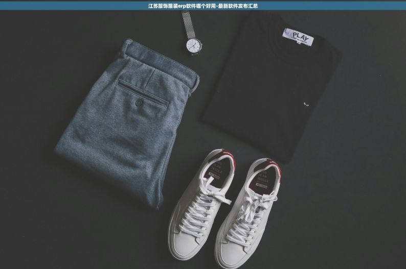 江苏服饰服装erp软件哪个好用-最新软件发布汇总
