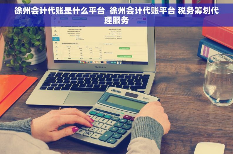 徐州会计代账是什么平台  徐州会计代账平台 税务筹划代理服务