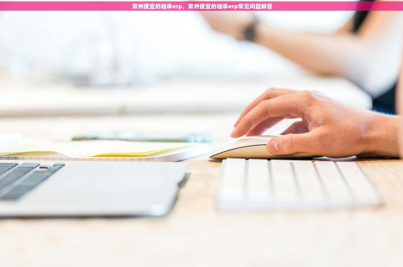  常州便宜的轴承erp，常州便宜的轴承erp常见问题解答