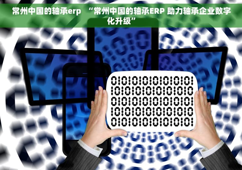 常州中国的轴承erp  “常州中国的轴承ERP 助力轴承企业数字化升级”