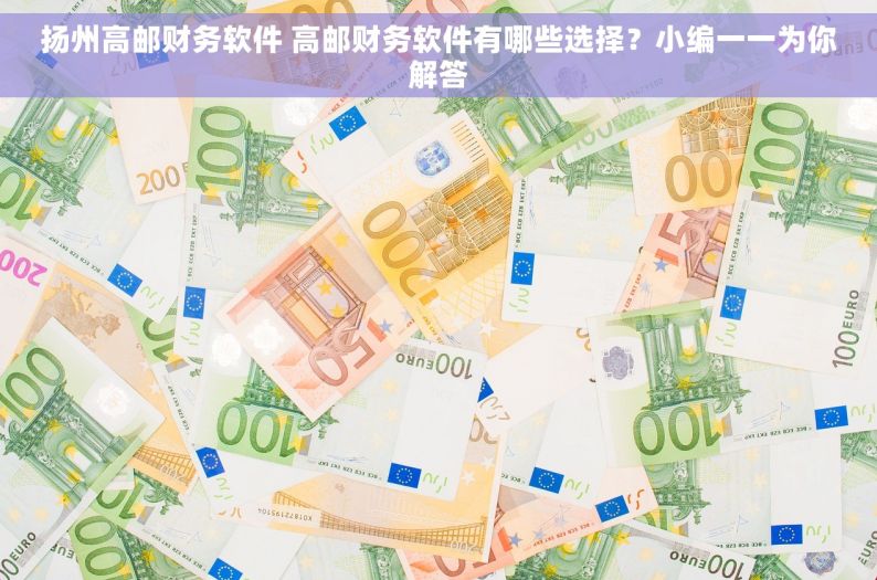 扬州高邮财务软件 高邮财务软件有哪些选择？小编一一为你解答