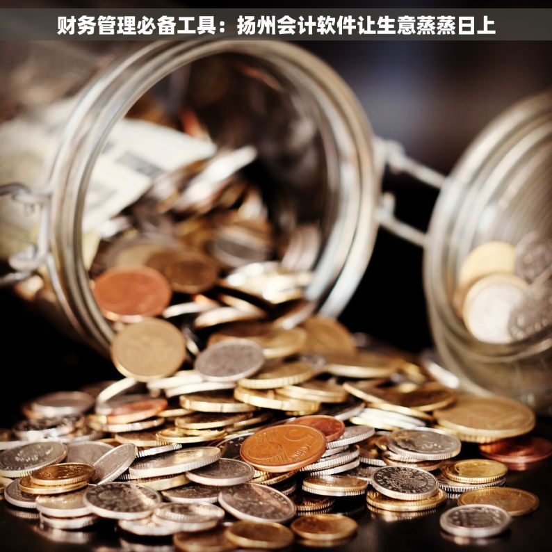 财务管理必备工具：扬州会计软件让生意蒸蒸日上