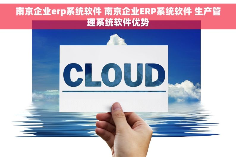 南京企业erp系统软件 南京企业ERP系统软件 生产管理系统软件优势
