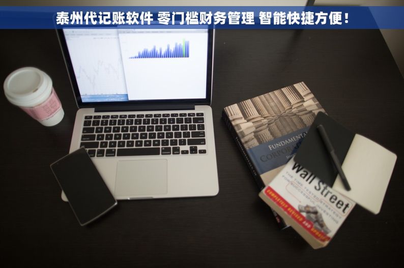 泰州代记账软件 零门槛财务管理 智能快捷方便！