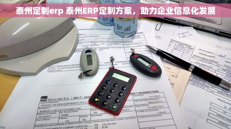 泰州定制erp 泰州ERP定制方案，助力企业信息化发展