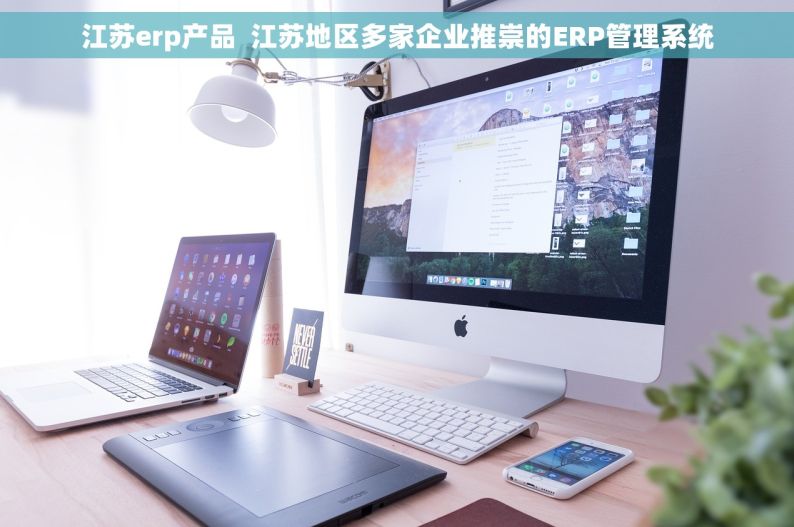 江苏erp产品  江苏地区多家企业推崇的ERP管理系统