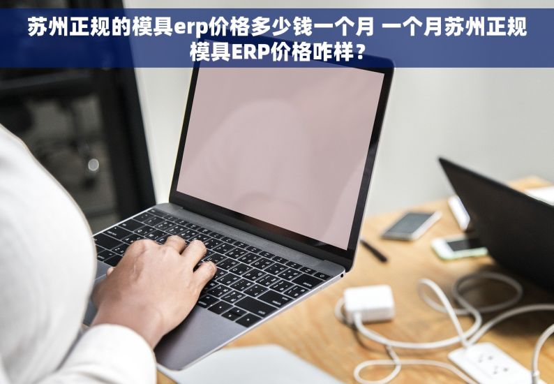苏州正规的模具erp价格多少钱一个月 一个月苏州正规模具ERP价格咋样？