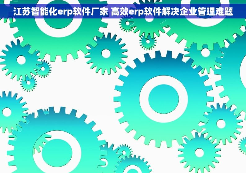 江苏智能化erp软件厂家 高效erp软件解决企业管理难题