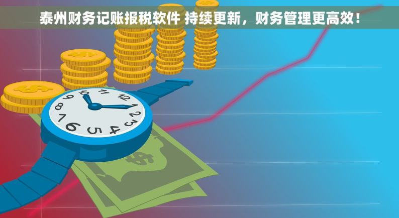 泰州财务记账报税软件 持续更新，财务管理更高效！