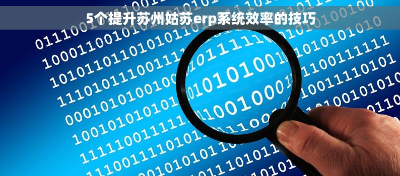 5个提升苏州姑苏erp系统效率的技巧