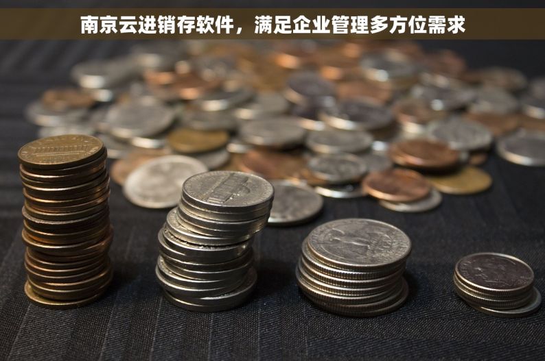 南京云进销存软件，满足企业管理多方位需求