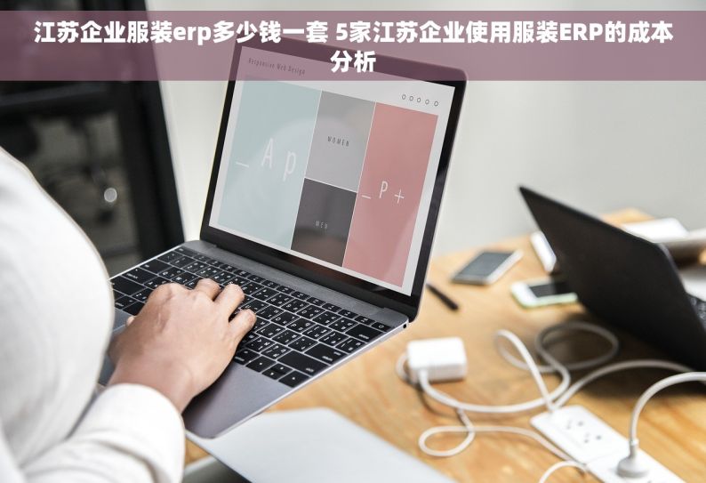 江苏企业服装erp多少钱一套 5家江苏企业使用服装ERP的成本分析
