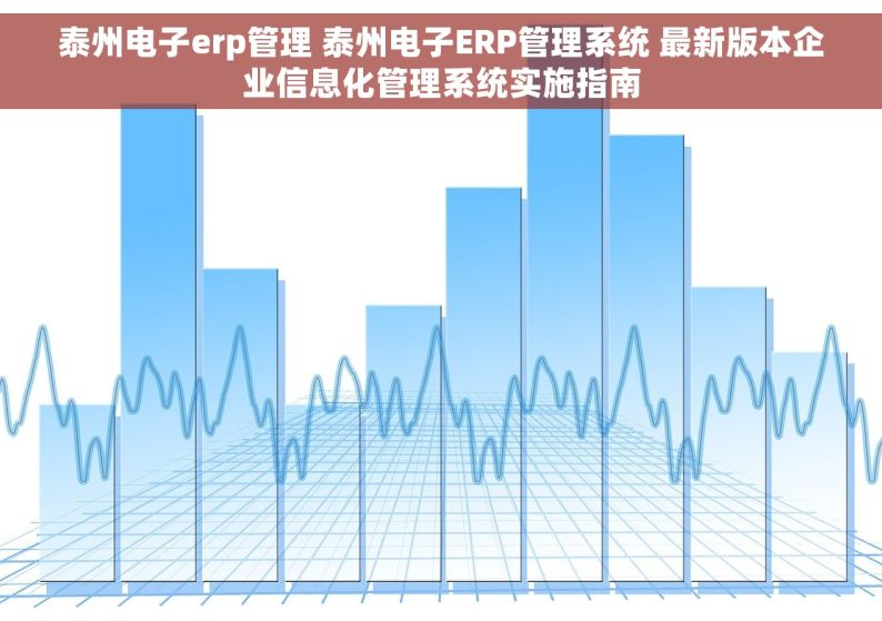 泰州电子erp管理 泰州电子ERP管理系统 最新版本企业信息化管理系统实施指南