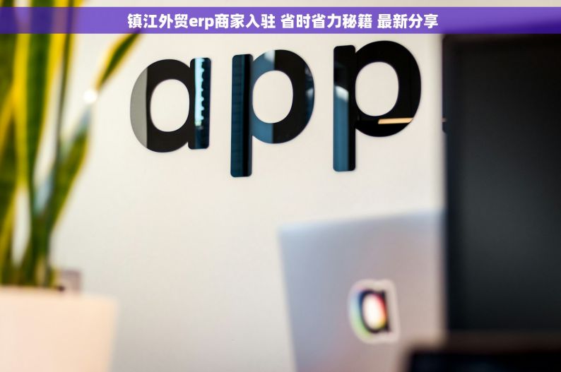  镇江外贸erp商家入驻 省时省力秘籍 最新分享