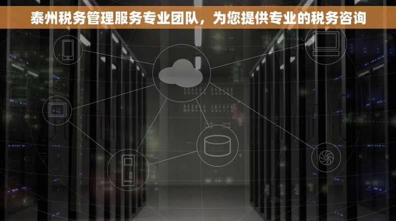泰州税务管理服务专业团队，为您提供专业的税务咨询