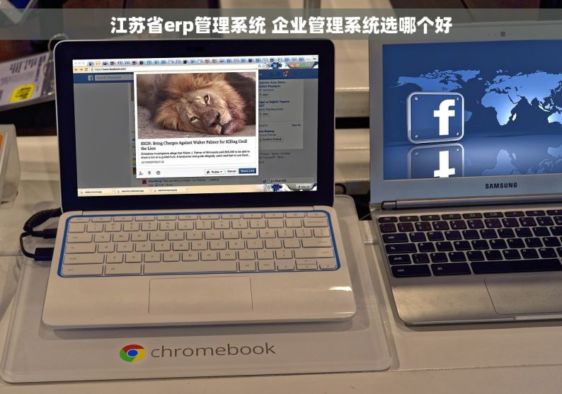 江苏省erp管理系统 企业管理系统选哪个好