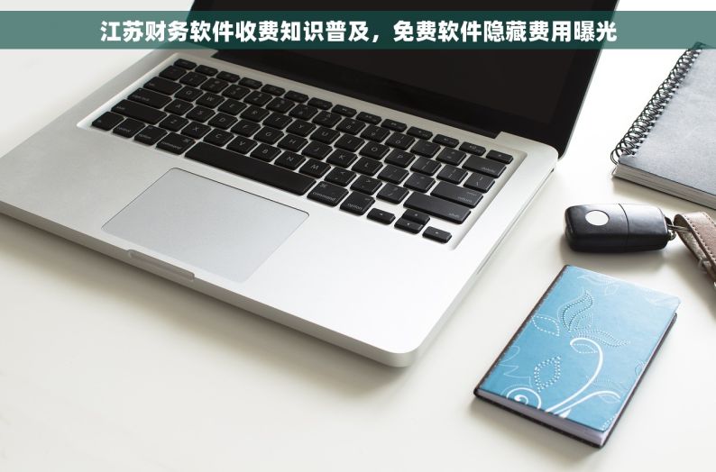 江苏财务软件收费知识普及，免费软件隐藏费用曝光