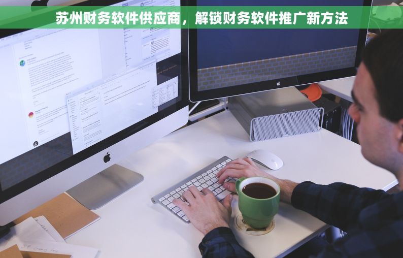 苏州财务软件供应商，解锁财务软件推广新方法